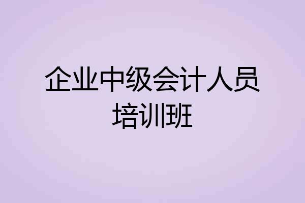 企业中级会计人员培训班