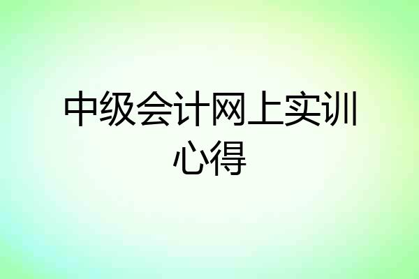 中级会计网上实训心得