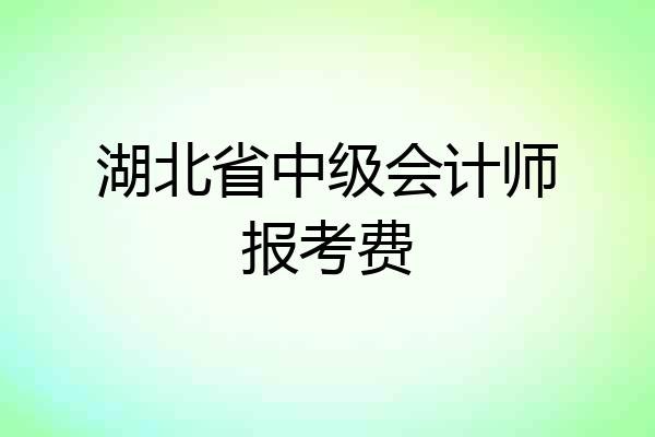 湖北省中级会计师报考费