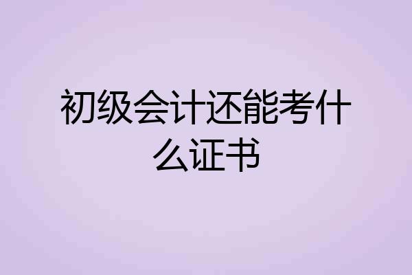 初级会计还能考什么证书