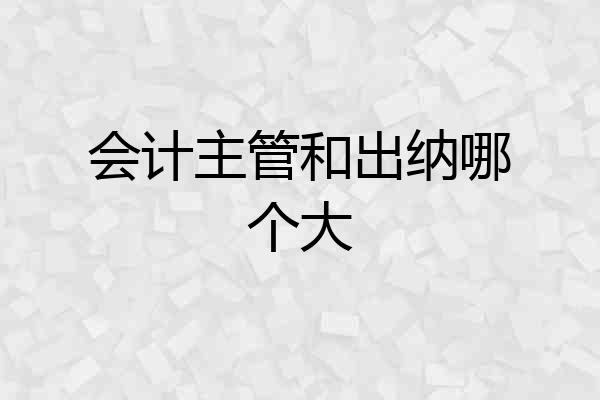 会计主管和出纳哪个大