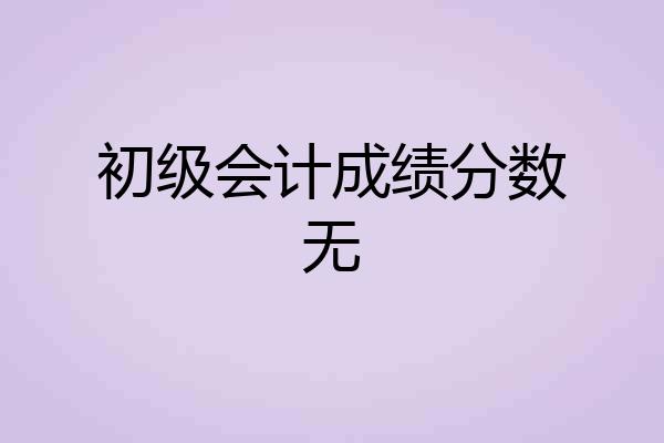 初级会计成绩分数无