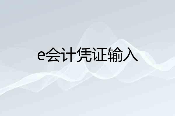 e会计凭证输入
