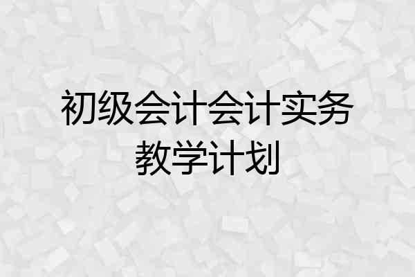 初级会计会计实务教学计划