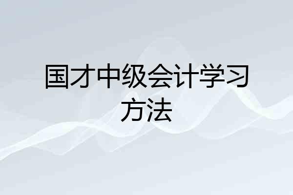 国才中级会计学习方法