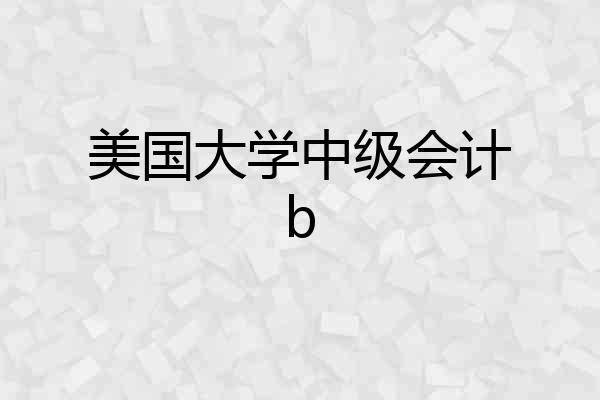美国大学中级会计b