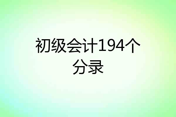初级会计194个分录