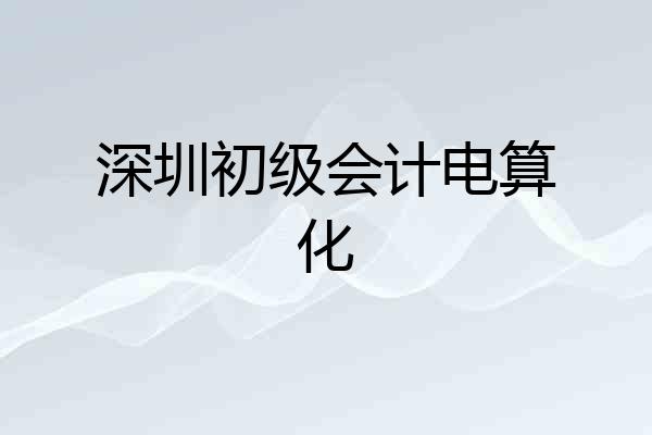 深圳初级会计电算化