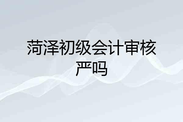 菏泽初级会计审核严吗