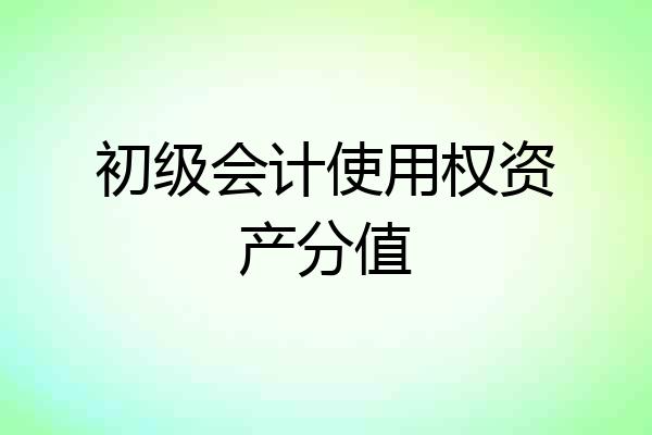 初级会计使用权资产分值