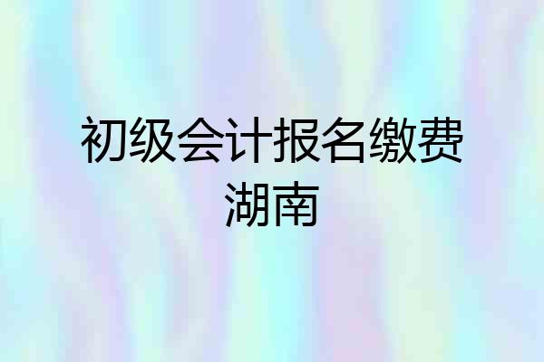 初级会计报名缴费湖南