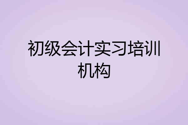 初级会计实习培训机构