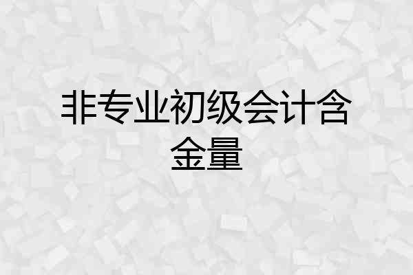 非专业初级会计含金量