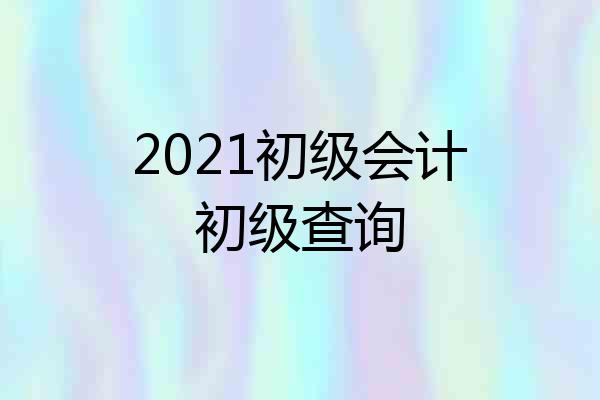 2021初级会计初级查询