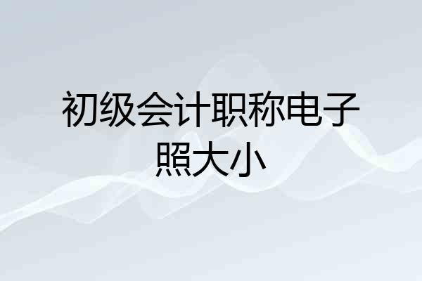 初级会计职称电子照大小