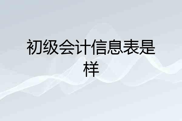 初级会计信息表是样