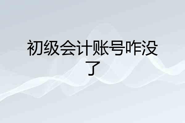 初级会计账号咋没了