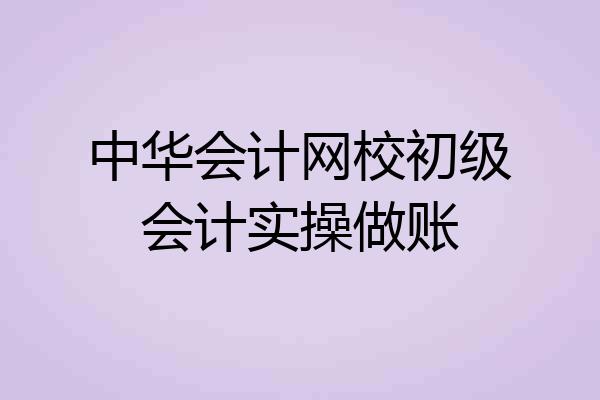 中华会计网校初级会计实操做账