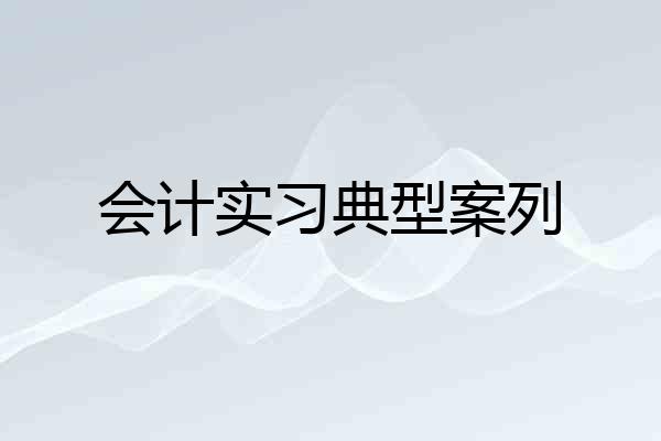 会计实习典型案列