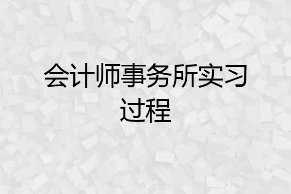 会计师事务所实习过程
