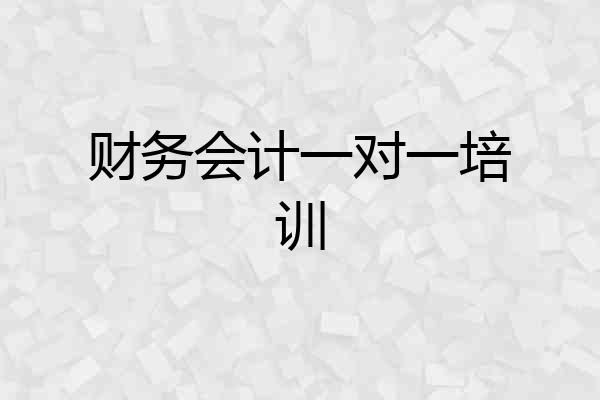 财务会计一对一培训