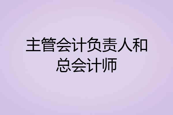 主管会计负责人和总会计师