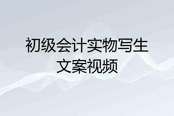 初级会计实物写生文案视频
