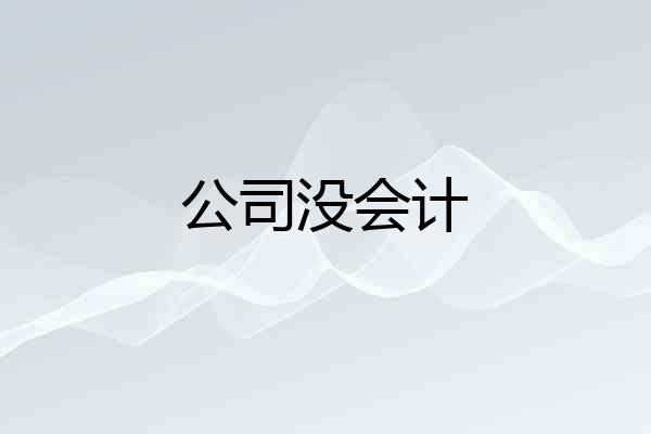公司没会计