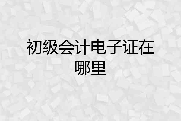 初级会计电子证在哪里