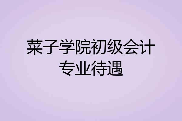 菜子学院初级会计专业待遇