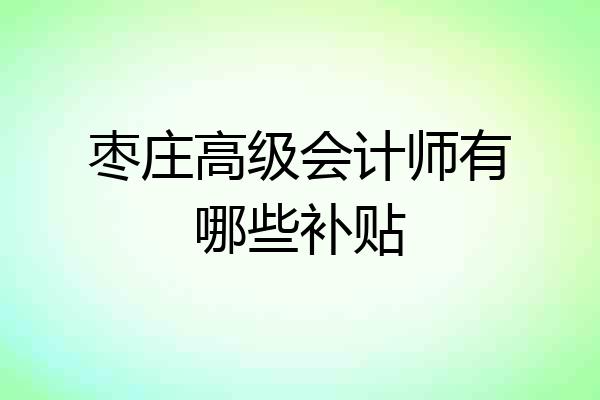 枣庄高级会计师有哪些补贴