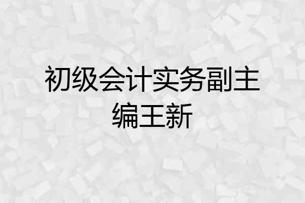 初级会计实务副主编王新