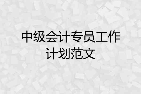 中级会计专员工作计划范文