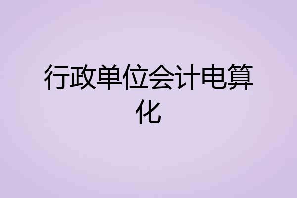 行政单位会计电算化