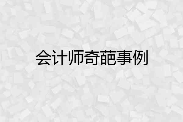 会计师奇葩事例