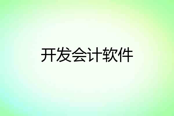 开发会计软件