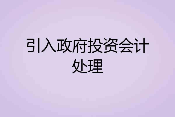 引入政府投资会计处理