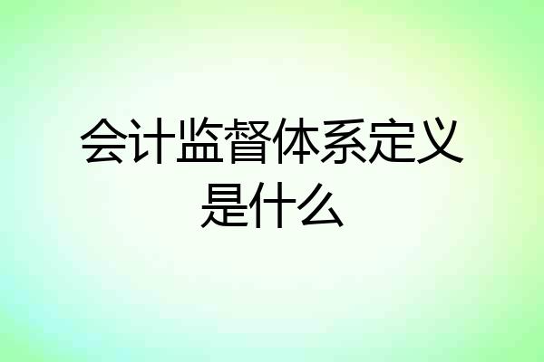 会计监督体系定义是什么