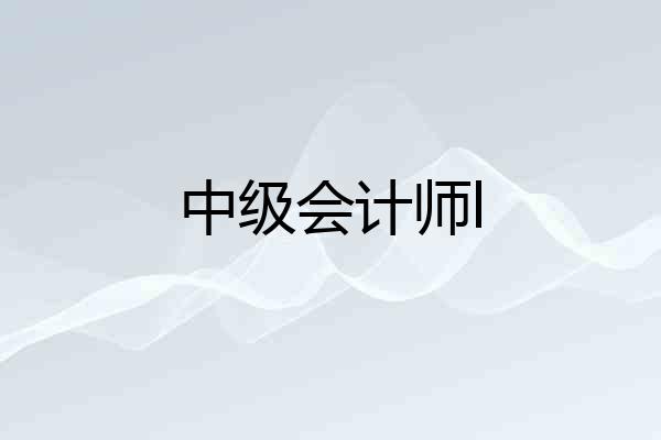 中级会计师l