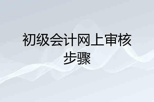 初级会计网上审核步骤