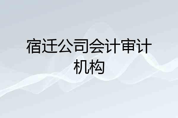 宿迁公司会计审计机构