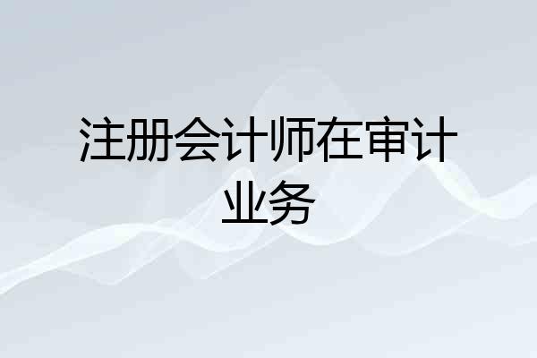 注册会计师在审计业务