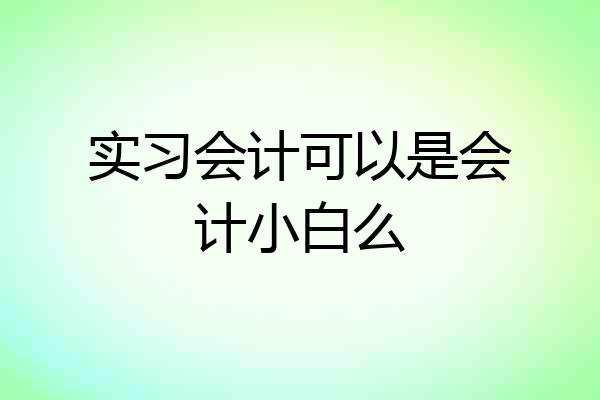 实习会计可以是会计小白么