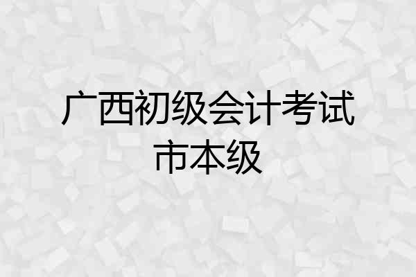 广西初级会计考试市本级