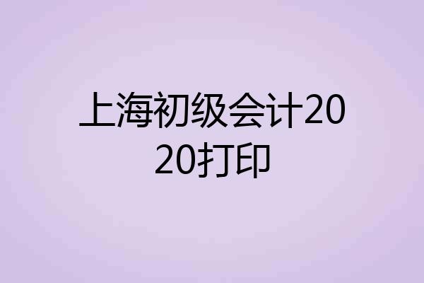 上海初级会计2020打印