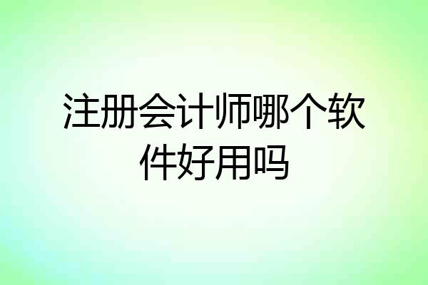 注册会计师哪个软件好用吗