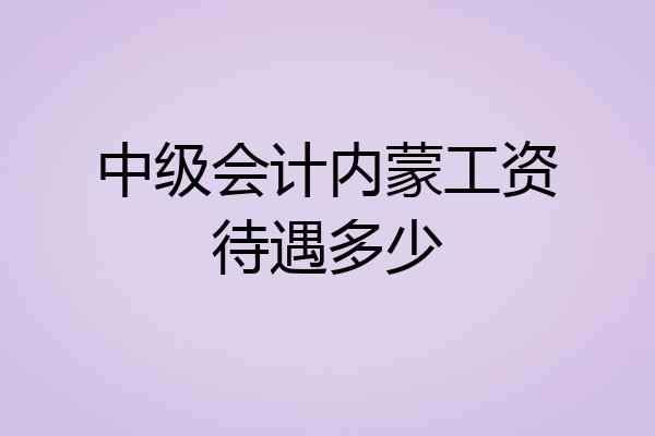 中级会计内蒙工资待遇多少