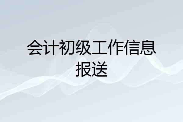 会计初级工作信息报送
