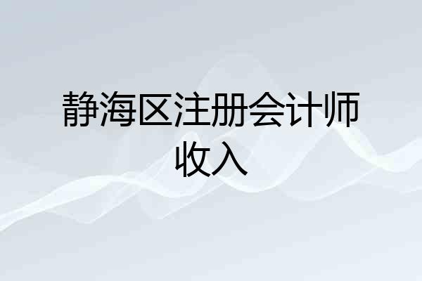 静海区注册会计师收入