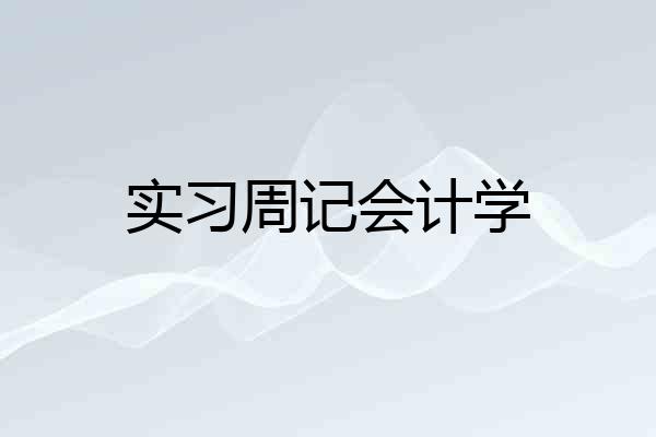 实习周记会计学